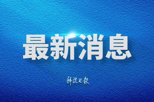 阿娇复胖