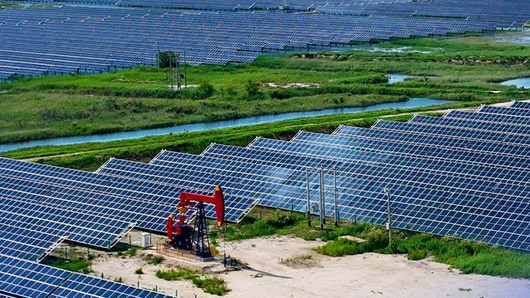 习近平等为受表彰的全国“两优一先”代表颁奖