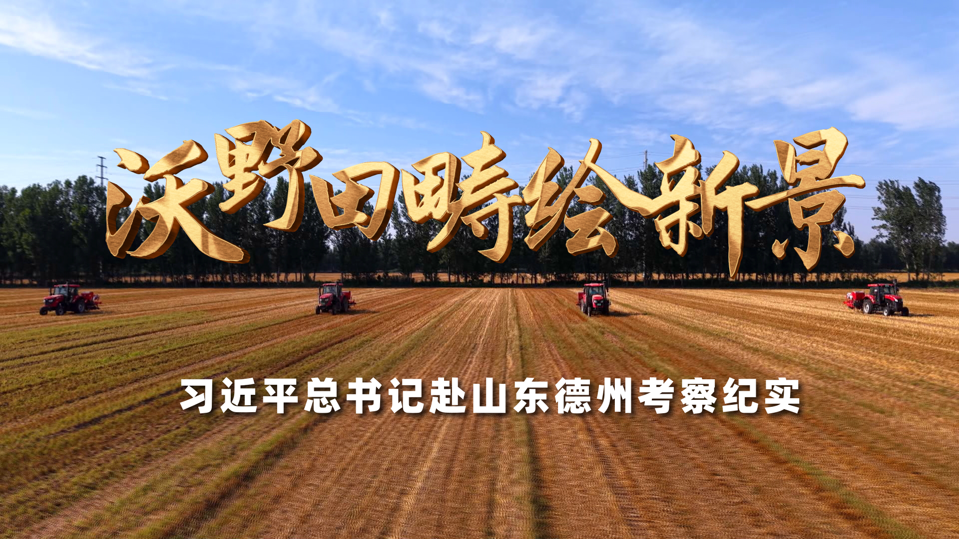 春花焰古偶新疯爆降临