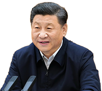 高压监狱在线观看