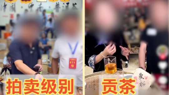 郑钦文武网亚军