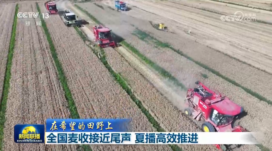 疾控部门回应广东蟑螂已进化