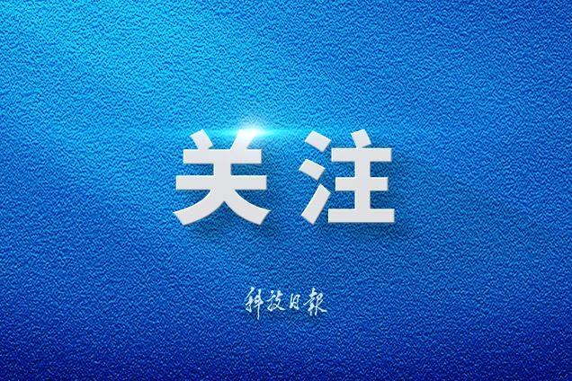 关于牙白的那些真心话