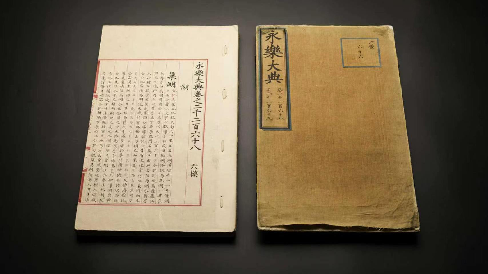 大熊猫彻夜待树上思考熊生