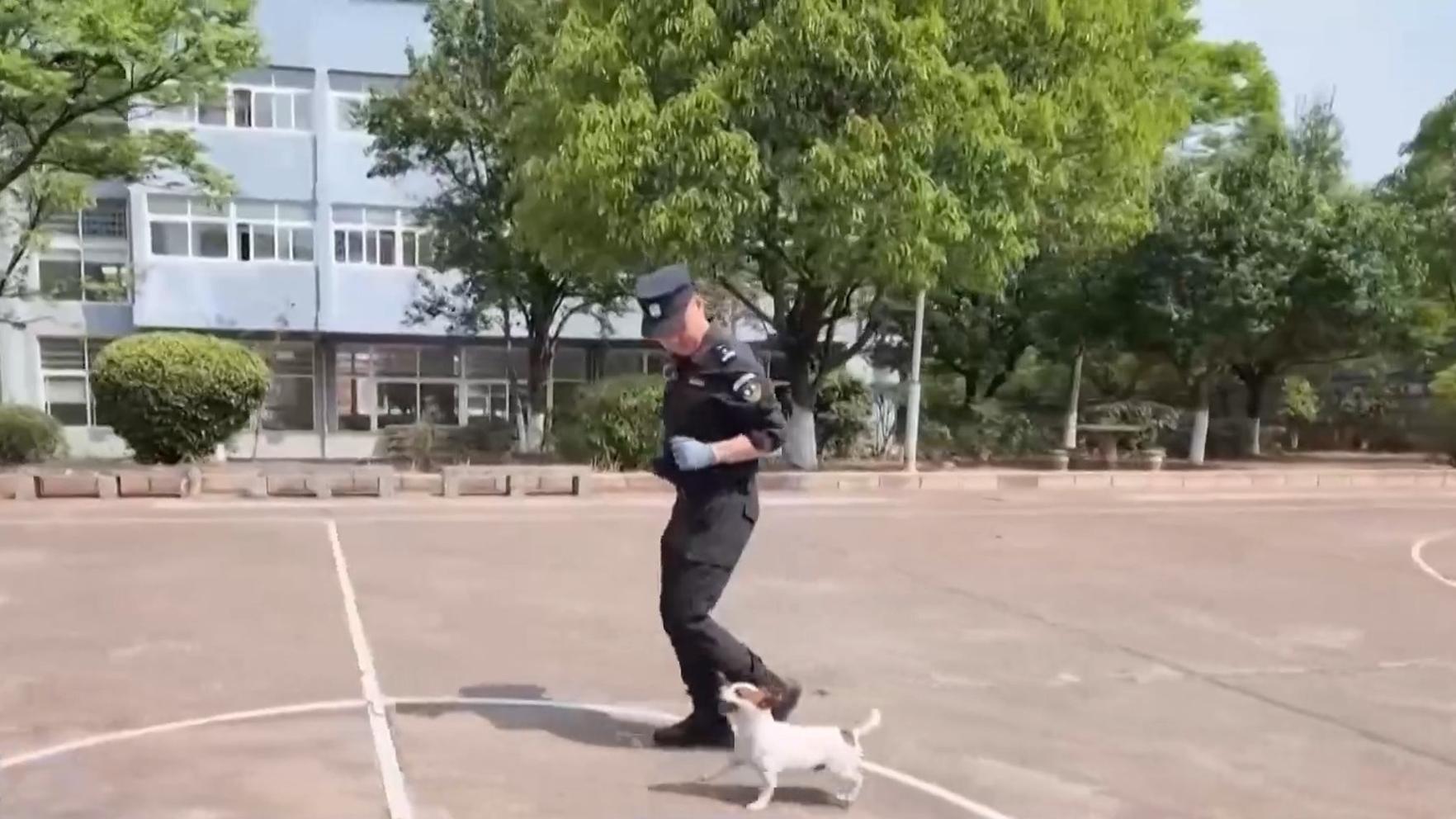 亚洲无码日韩精品专区