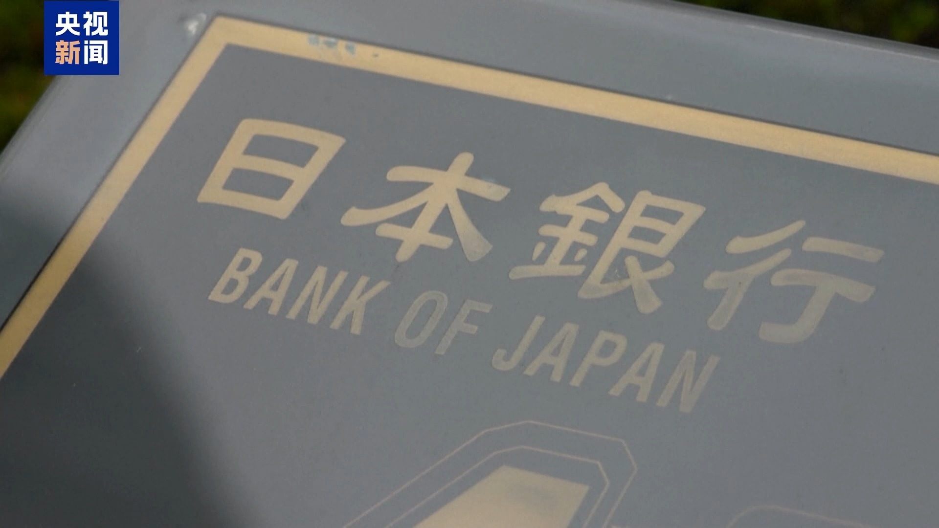 成全视频高清免费观看电视剧