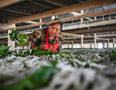 美军一直升机紧急迫降阿拉伯海 1名机组人员失踪