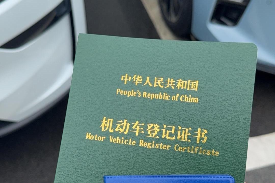 成全免费观看高清电影