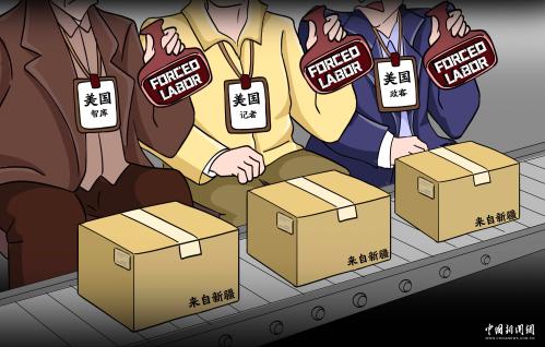 “希望村党组织进一步发挥党建引领作用”