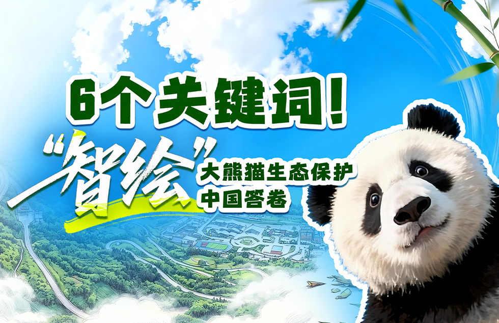 芒果台有一半都去了黄绮珊演唱会